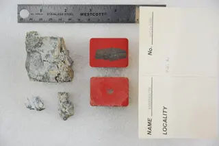 Krennerite (47859695042).jpg