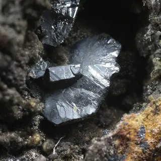 Krutovite-831017.jpg
