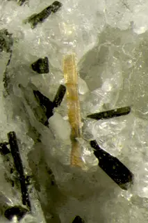 Lamprophyllite-575860.jpg