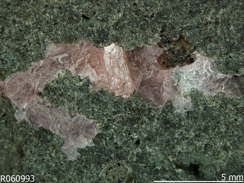 Lanthanite-(Nd)