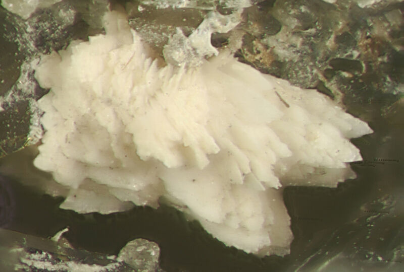 Lanthanite-(Ce)