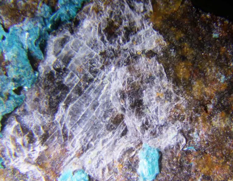 Lanthanite-(La).jpg
