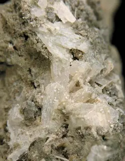 Latiumite-119764.jpg