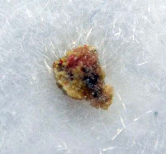 Lavrentievite