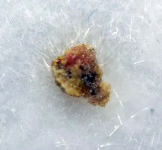 Lavrentievite.jpg