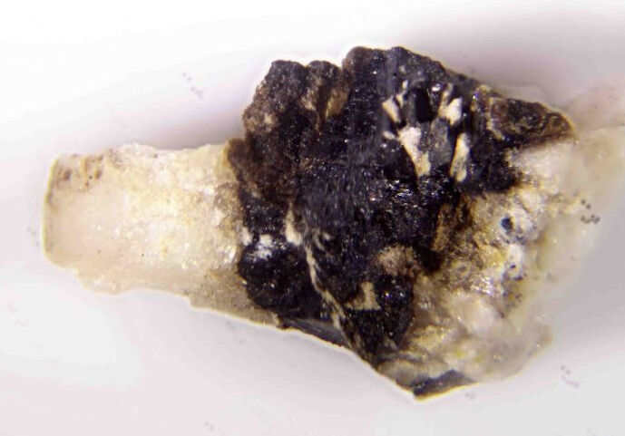 Torreyite