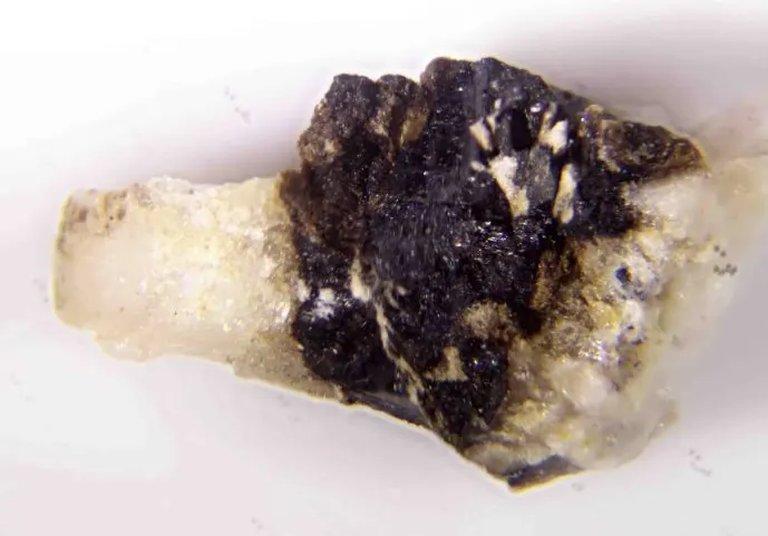 Torreyite & Lawsonbauerite.jpg