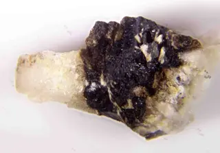 Torreyite & Lawsonbauerite.jpg