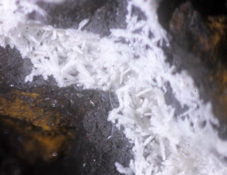 Elliottite