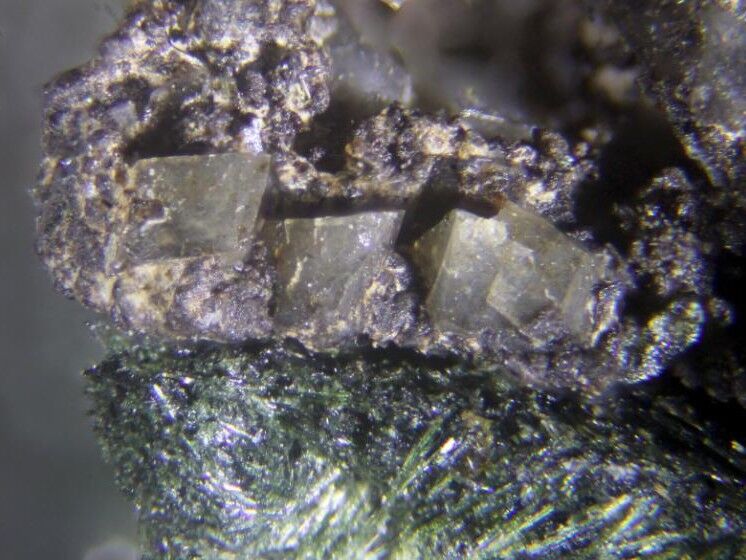 Lemmleinite-K