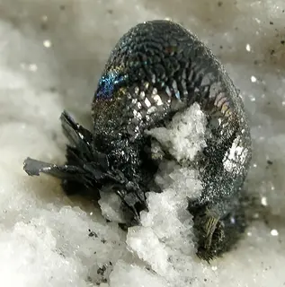Lengenbachite-Tennantite-Marcasite-266264.jpg