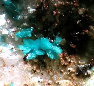 Leogangite-89923.jpg