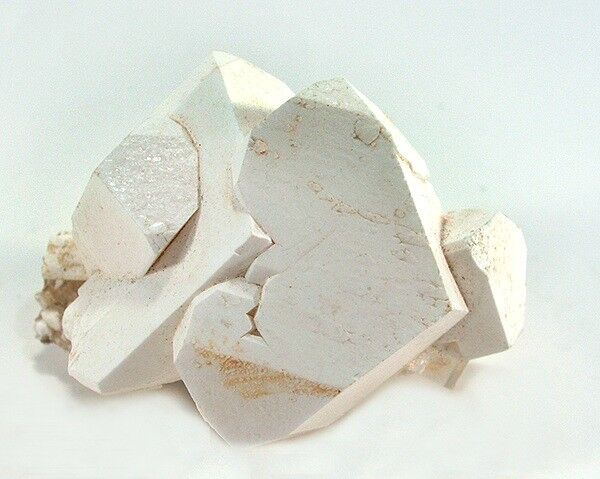 Leonite