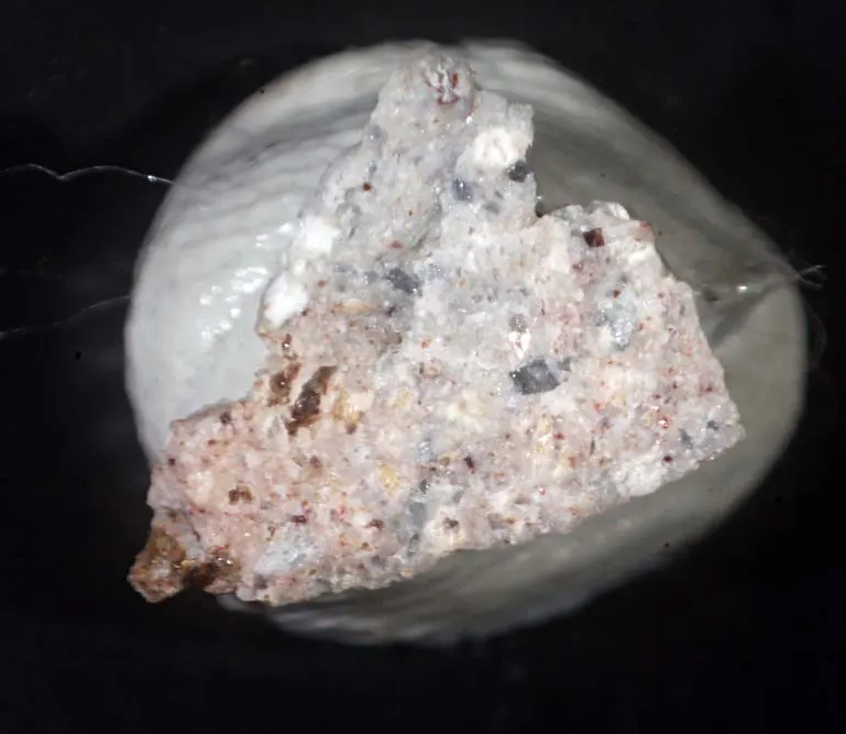 Leucosphenite.jpg