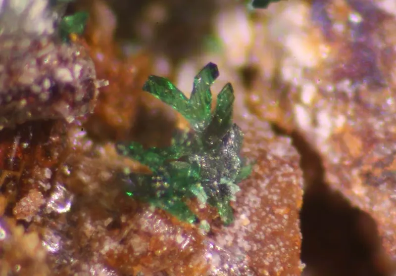 Leverettite.jpg