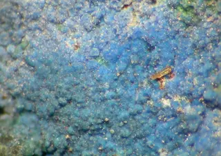 Likasite-93258.jpg