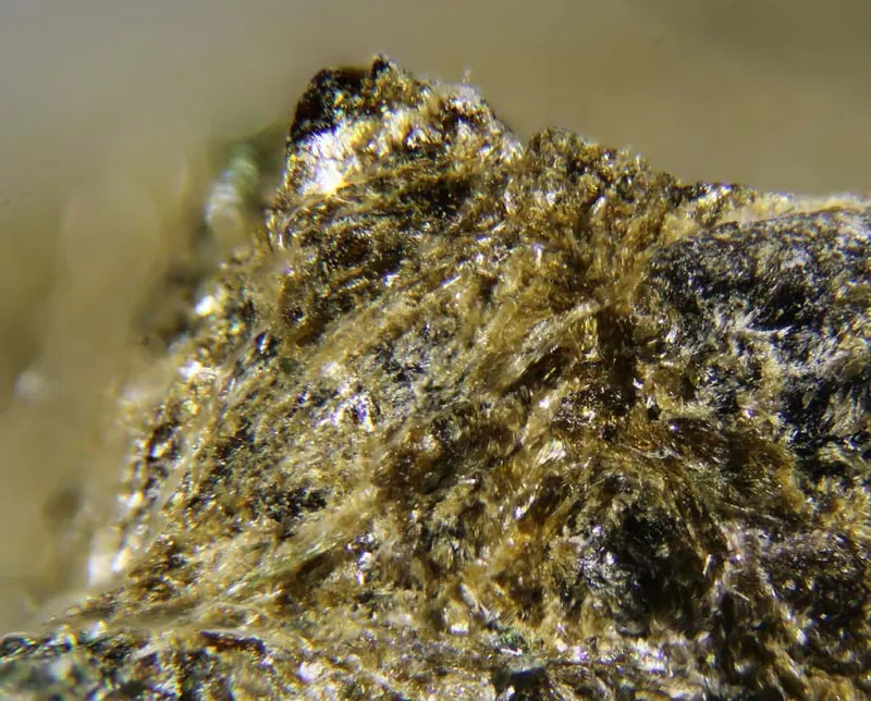 Lobanovite.jpg