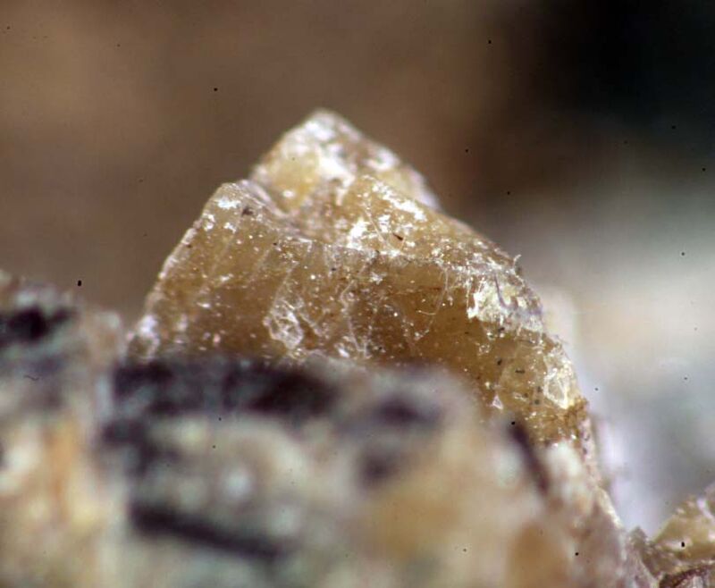 Paralomonosovite