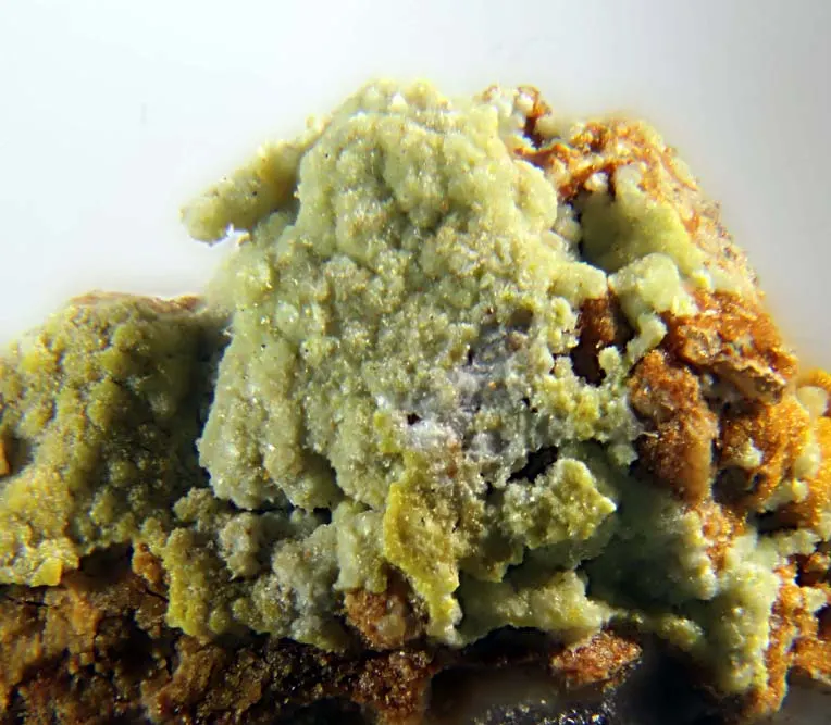 Ankinovichite.jpg