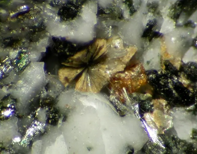 Lourenswalsite-88988.jpg