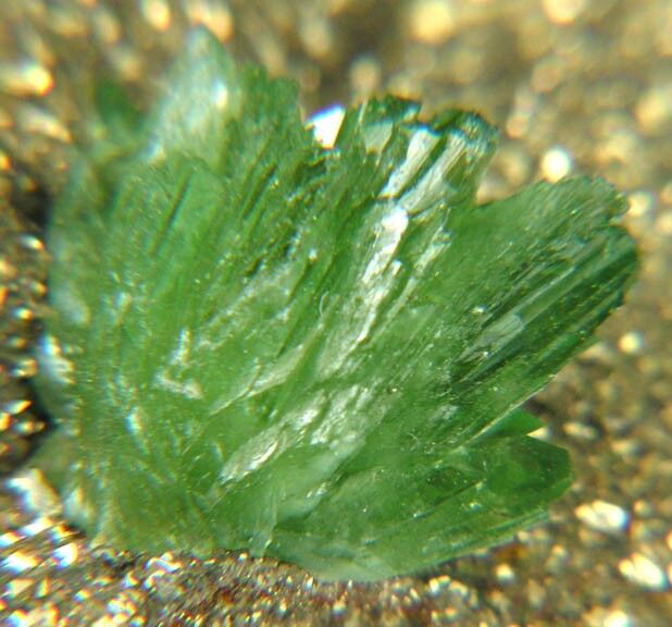 Ludlamite