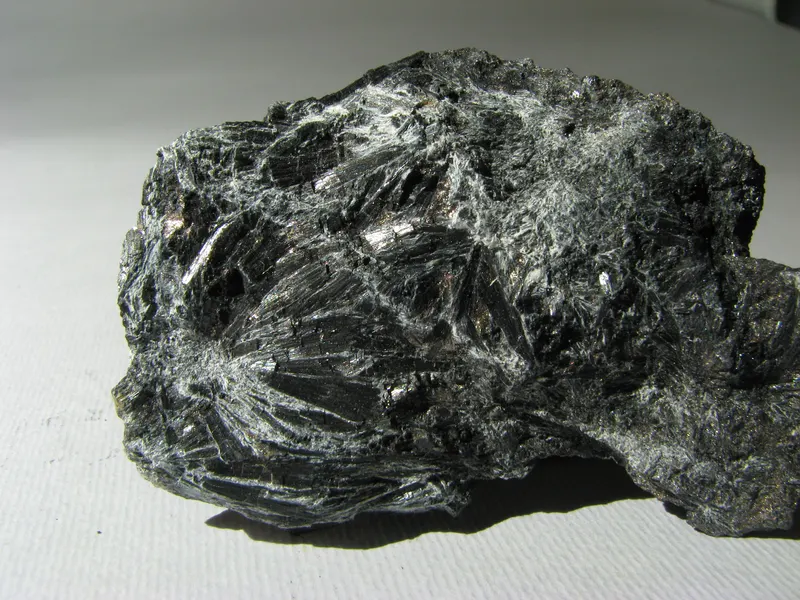 Ludwigite - Brosso, Piemonte, Italia.JPG