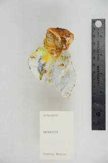 Mackayite (48140085316).jpg