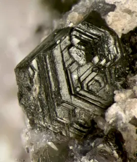 Annite-283530.jpg