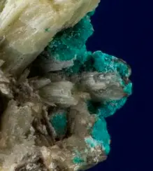 Lanarkite, Susannite, Macphersonite-359325-Susannite-detail.png