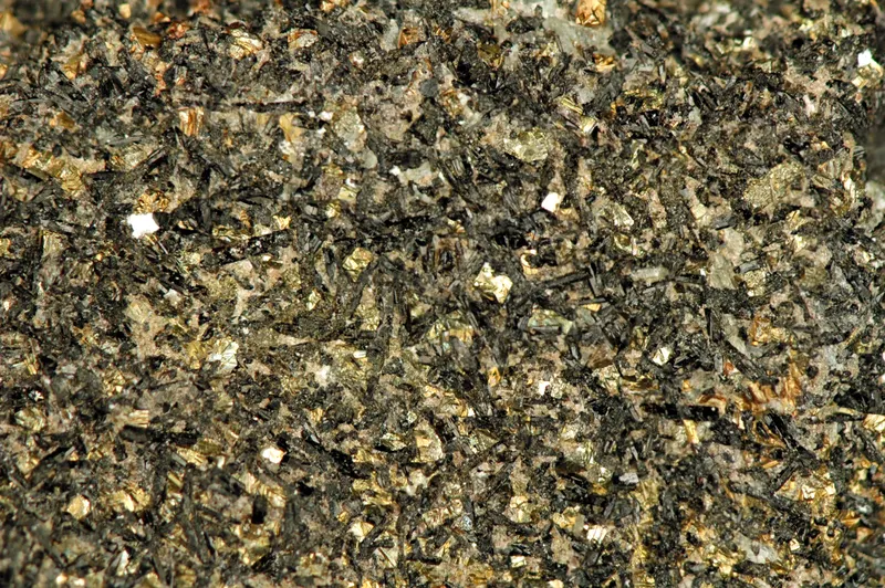 Madocite (tourmaline-pyrite metamorphite), Madoc Ontario.jpg