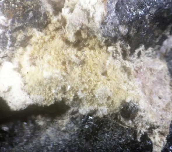 Magnesiochlorophoenicite.jpg
