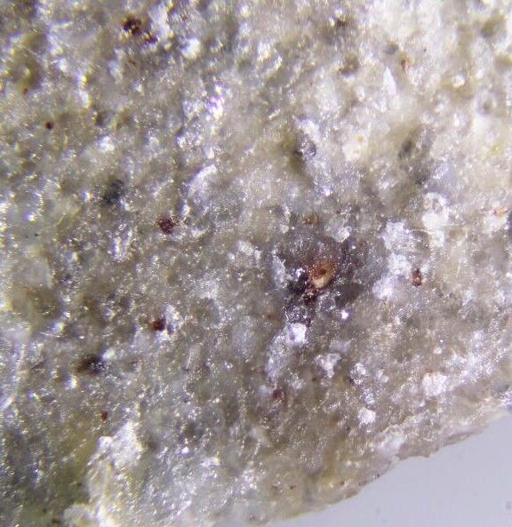 Magnesioneptunite