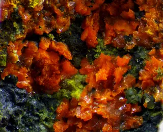 Magnesiopascoite-685487.jpg