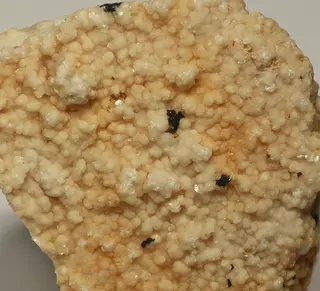 Mandanonite-586438.jpg
