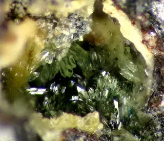 Mandarinoite-88281.jpg