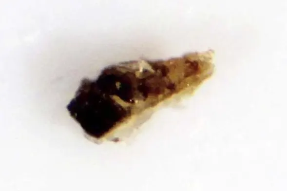 Manganarsite.png