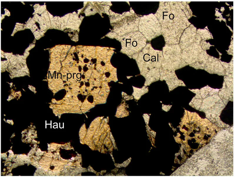 Photomicrograph of a thin section showing mangani-pargasite.jpg