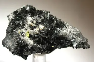 Manganite-21327.jpg