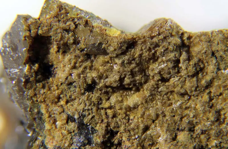 Manganosegelerite.jpg