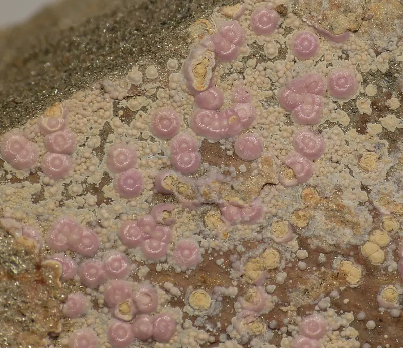 Mansfieldite-509649.jpg