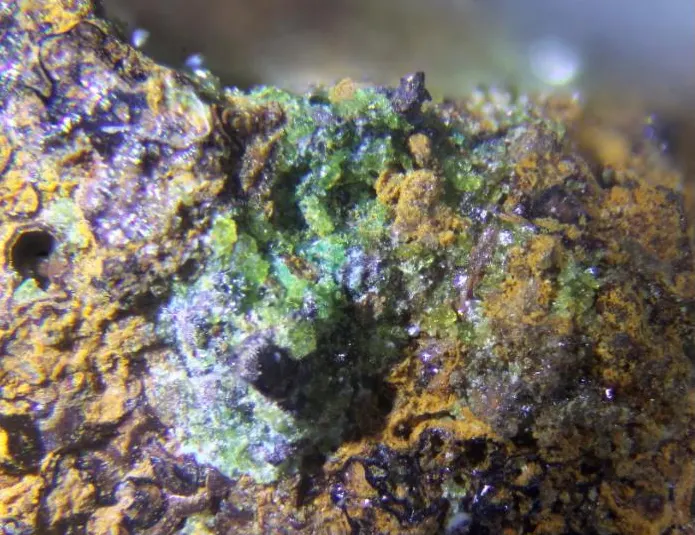 Mapimite.jpg