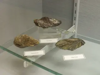 Satterlyite-wolfeite-marićite - Rapid Creek.jpg