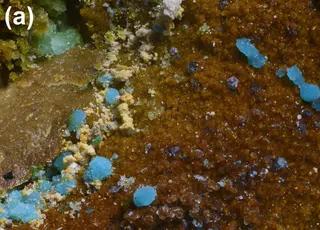 Marioantofilliite (a).jpg