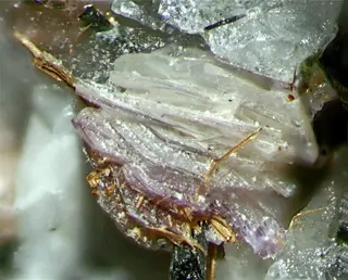 Martinite-163797.jpg