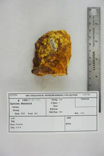 Massicot (47859406912).jpg