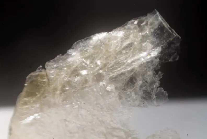 Masutomilite.jpg