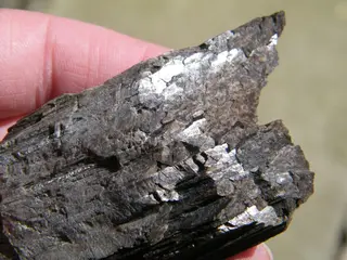 Calcite, variety Anthraconite-386096.jpg