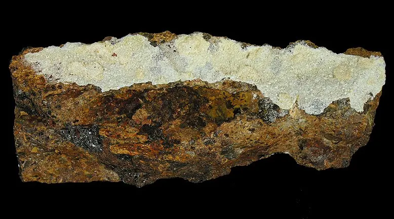 Matulaite-157584.jpg