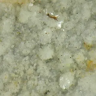 Matulaite-157586.jpg