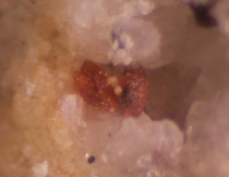 Maxwellite